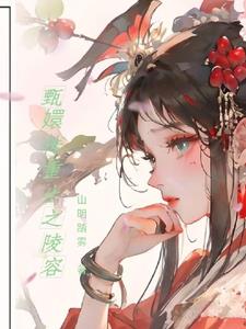 甄嬛传重生同人