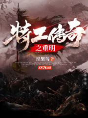 特工传奇电视剧全集在线观看